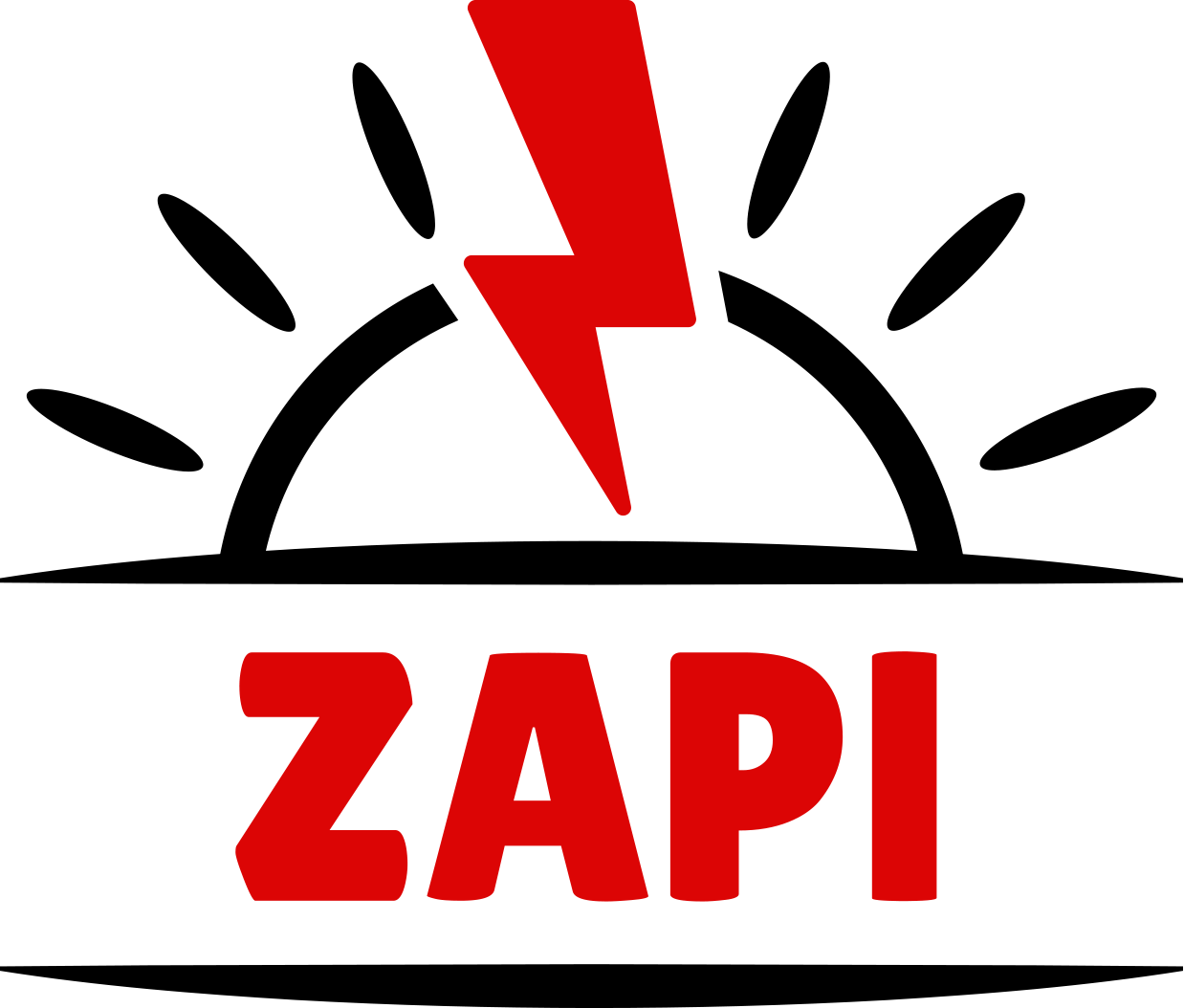 ZAPI Logo